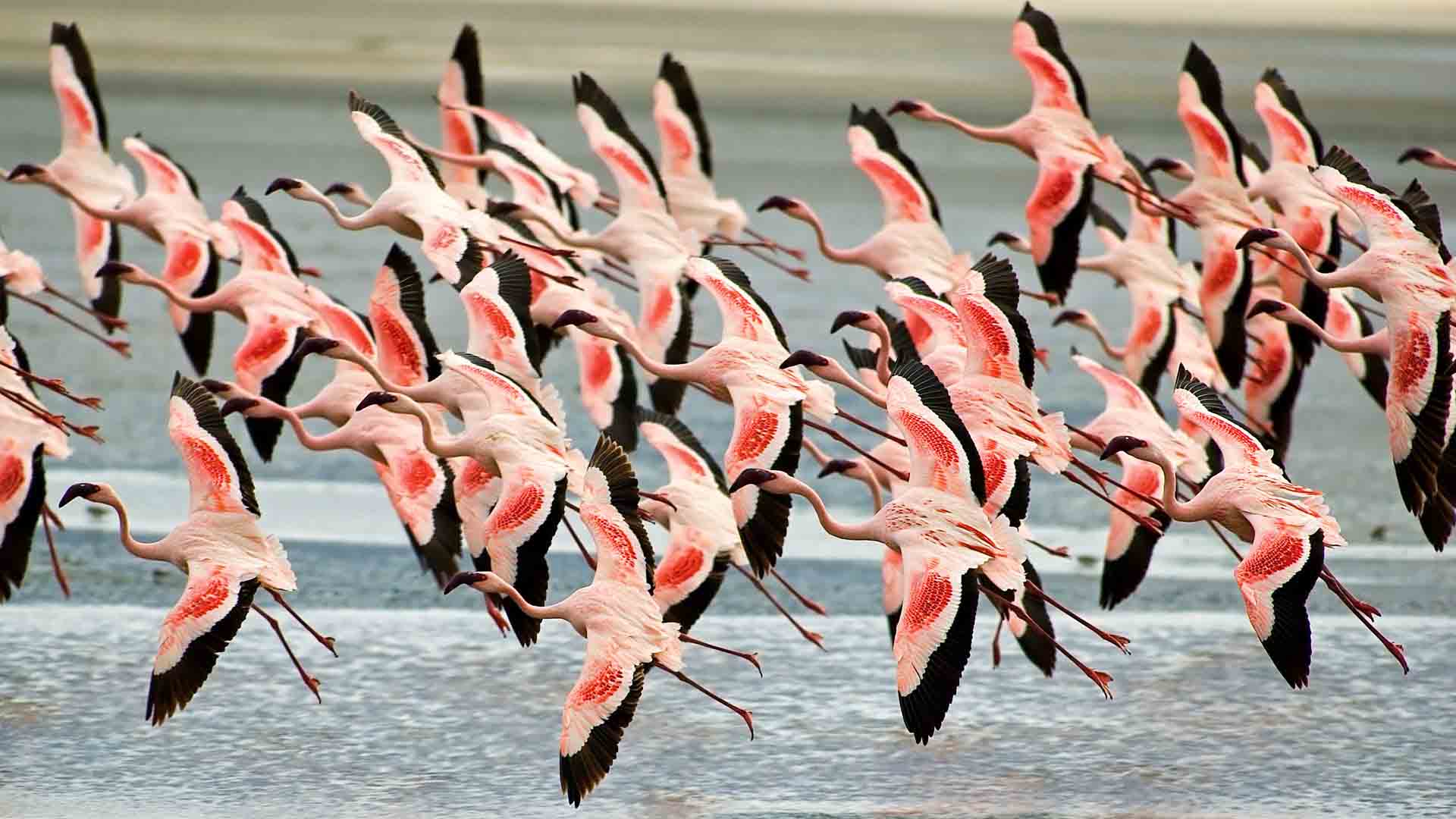 3-Day Tarangire, Ngorongoro Crater and Manyara Luxury Safari