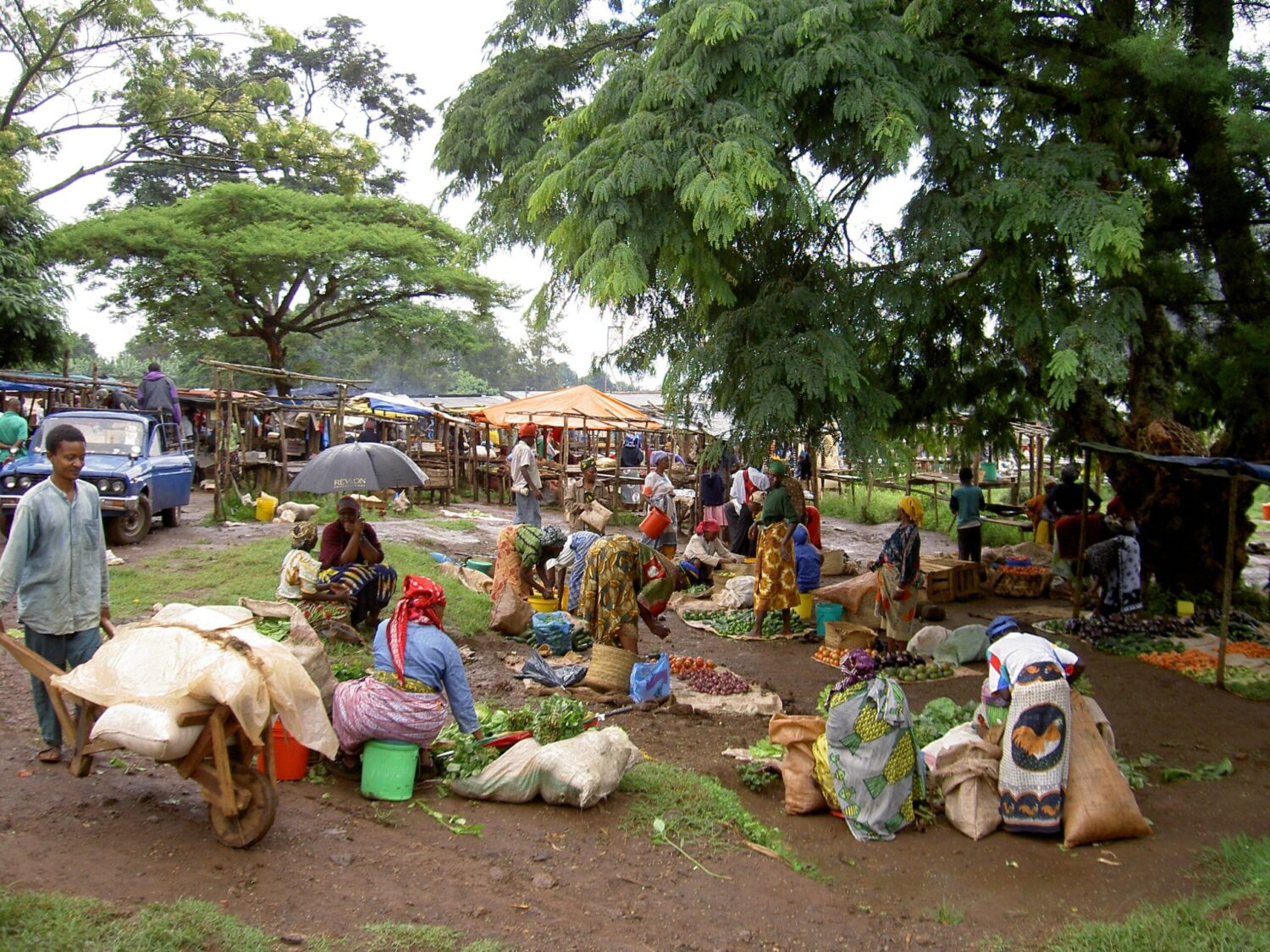 Chagga Tribe Cultural Day Tour