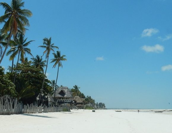 2 DAYS 1 NIGHT ZANZIBAR TOUR WITH OPTION TOUR BEFORE DEPARTURE