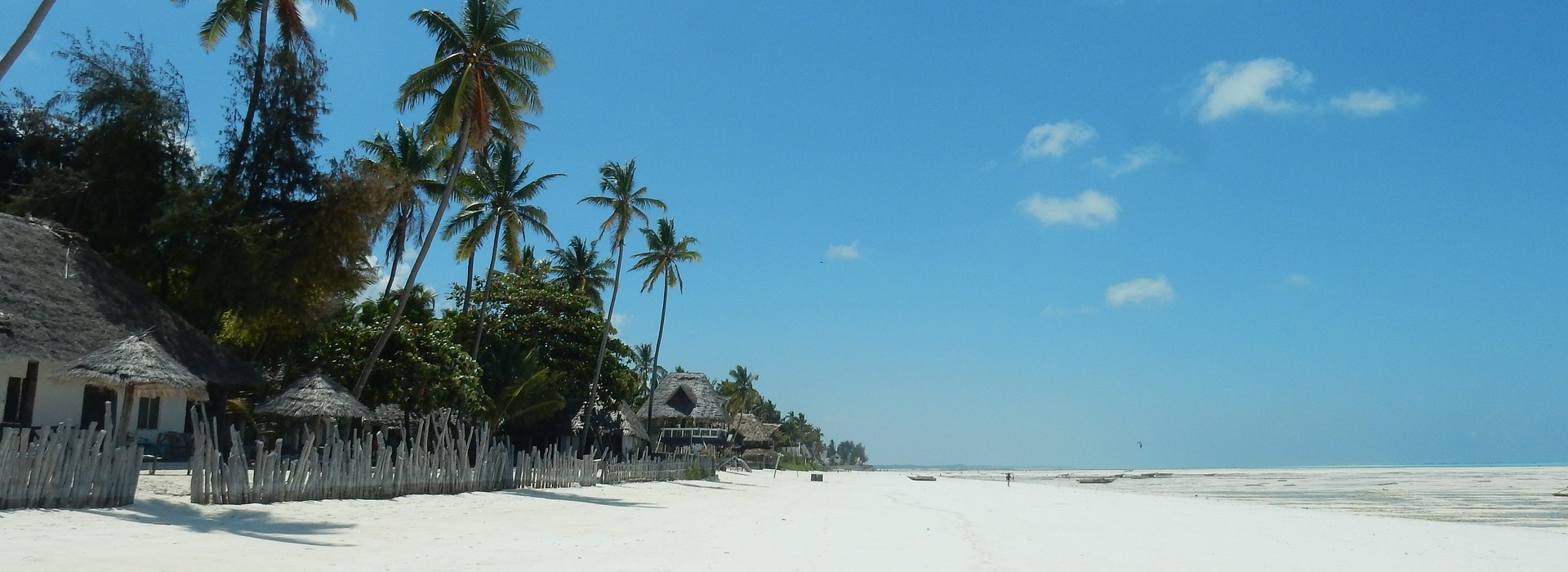 2 DAYS 1 NIGHT ZANZIBAR TOUR WITH OPTION TOUR BEFORE DEPARTURE