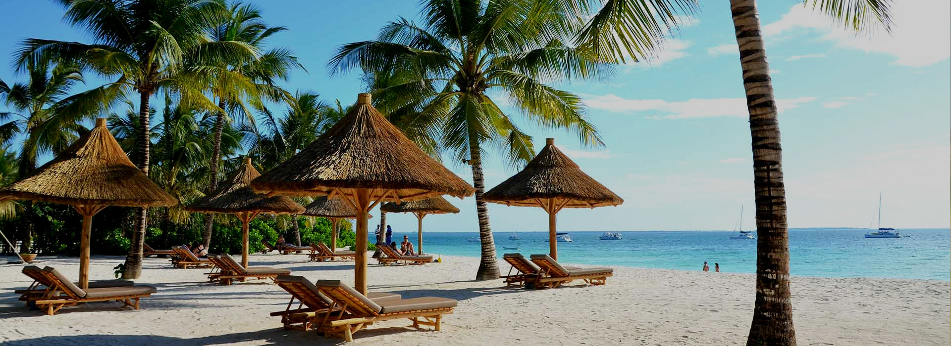 2 Days 1 Night Zanzibar Tour With Tour On Arrival (Standard Package)